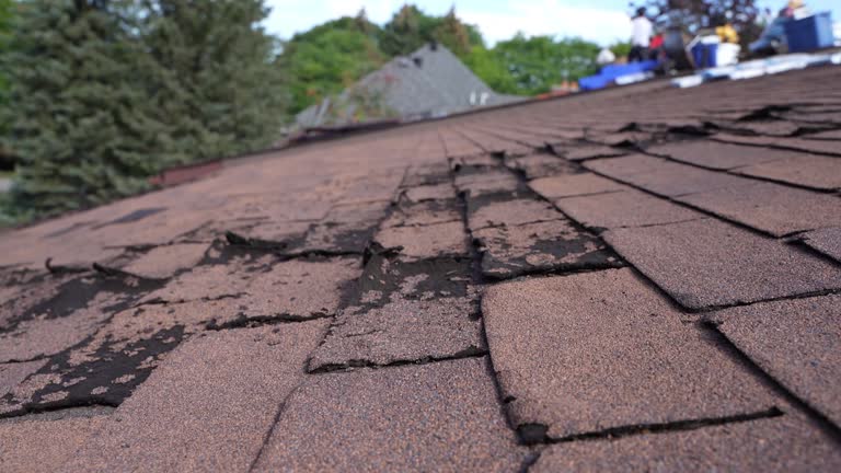 Best Roof Leak Repair  in Monument Hills, CA