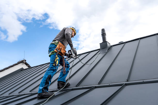 Best Roof Moss and Algae Removal  in Monument Hills, CA